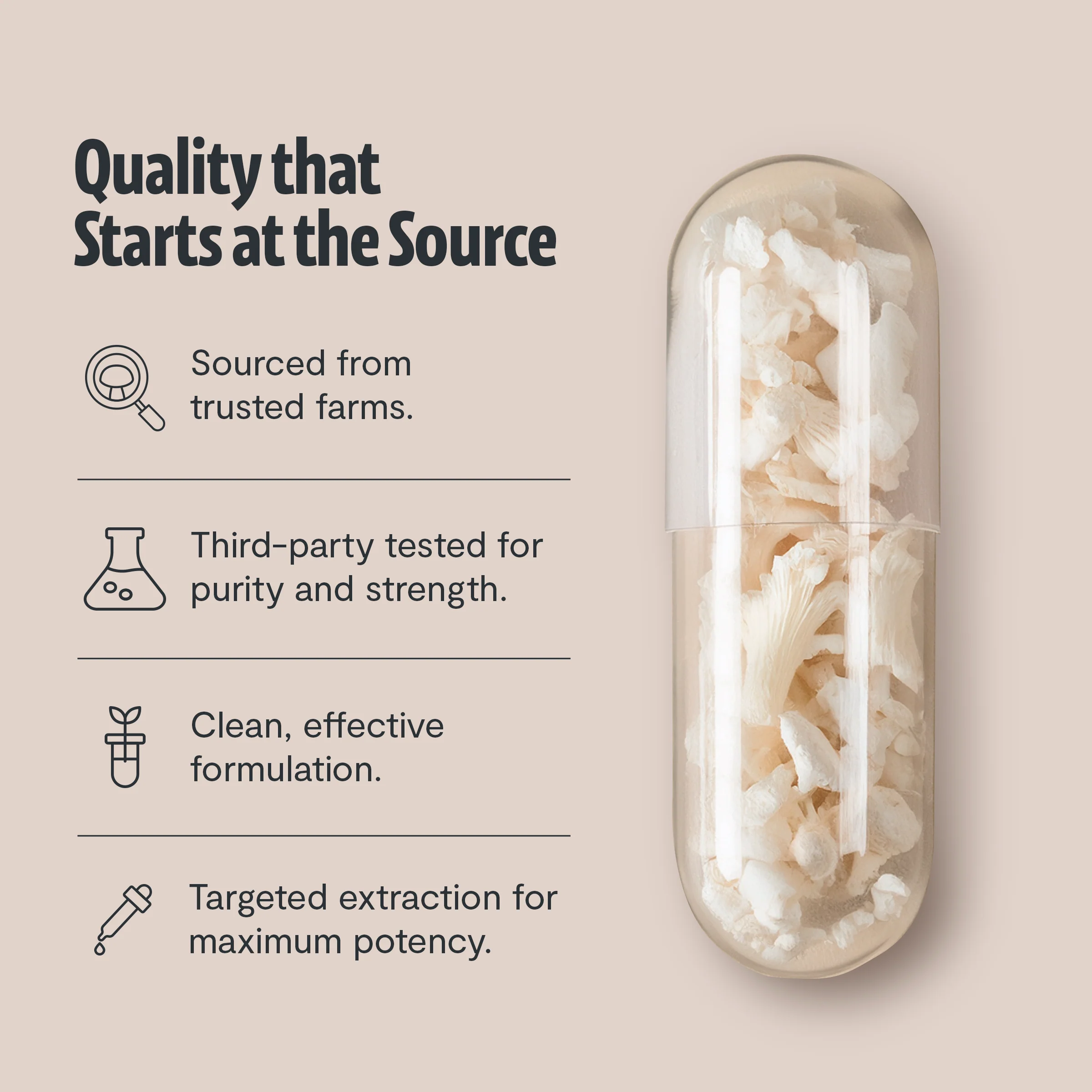 Tremella Mushroom Capsules - Image 7