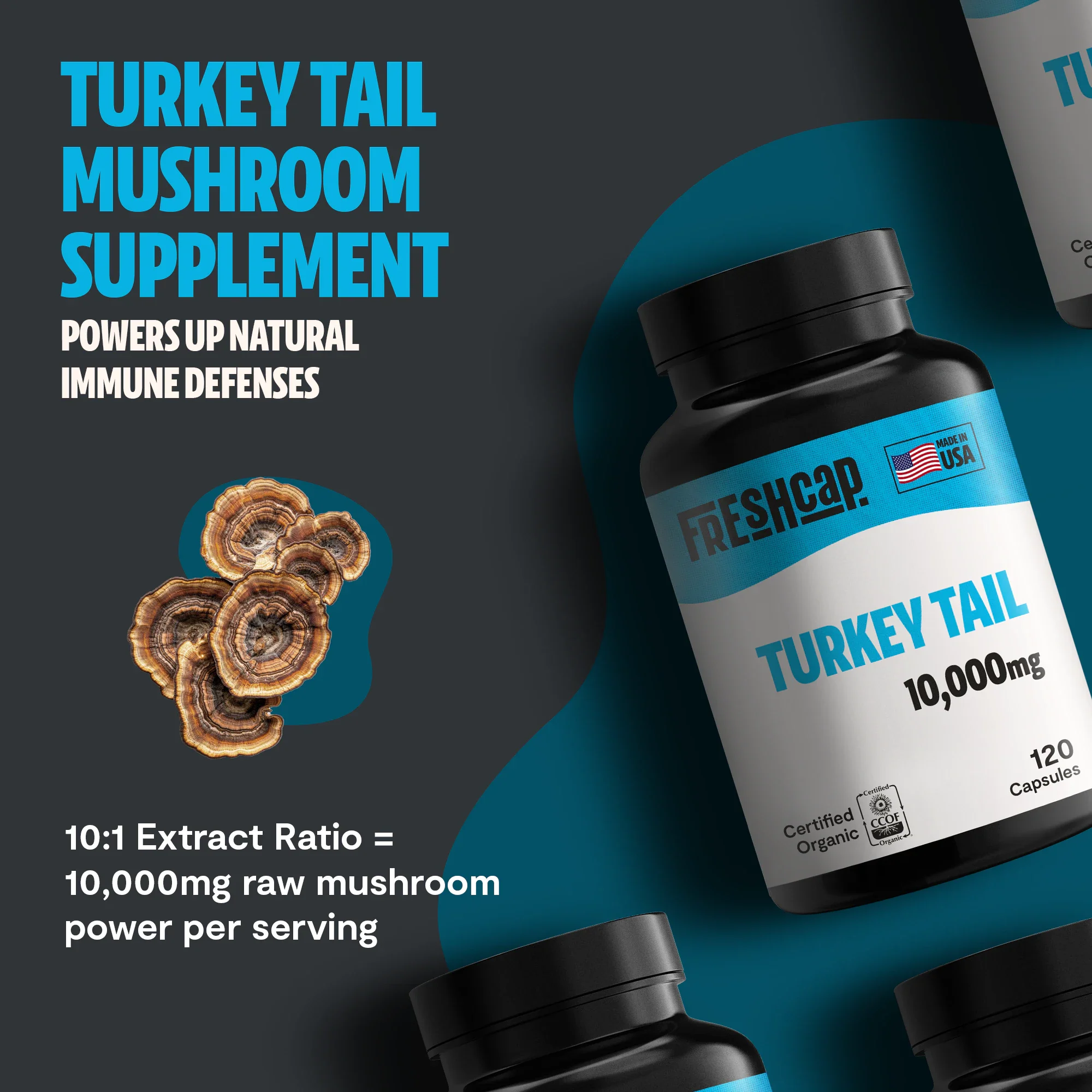 Turkey Tail Mushroom Extract Capsules - Image 10