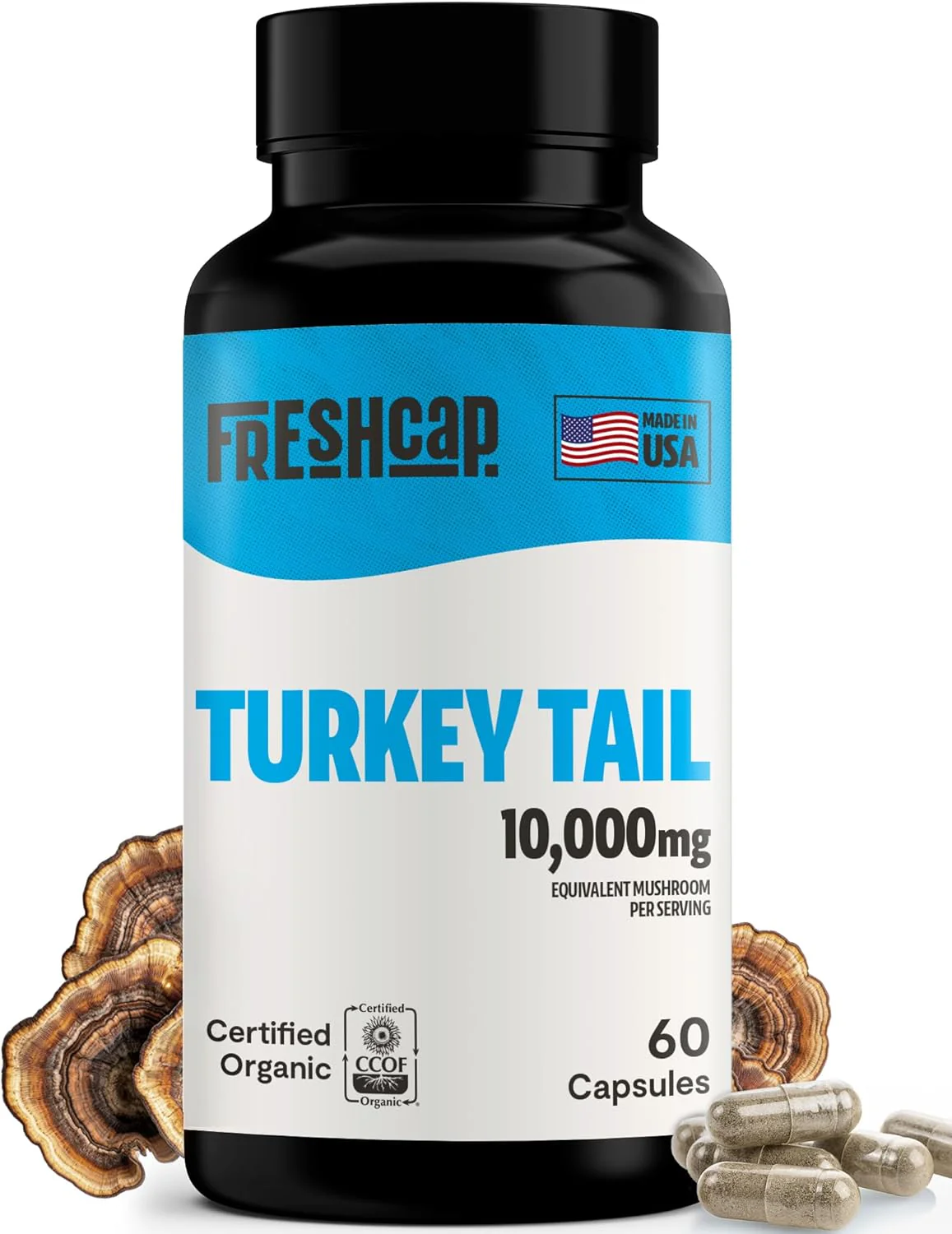 Turkey Tail Mushroom Extract Capsules - Image 12