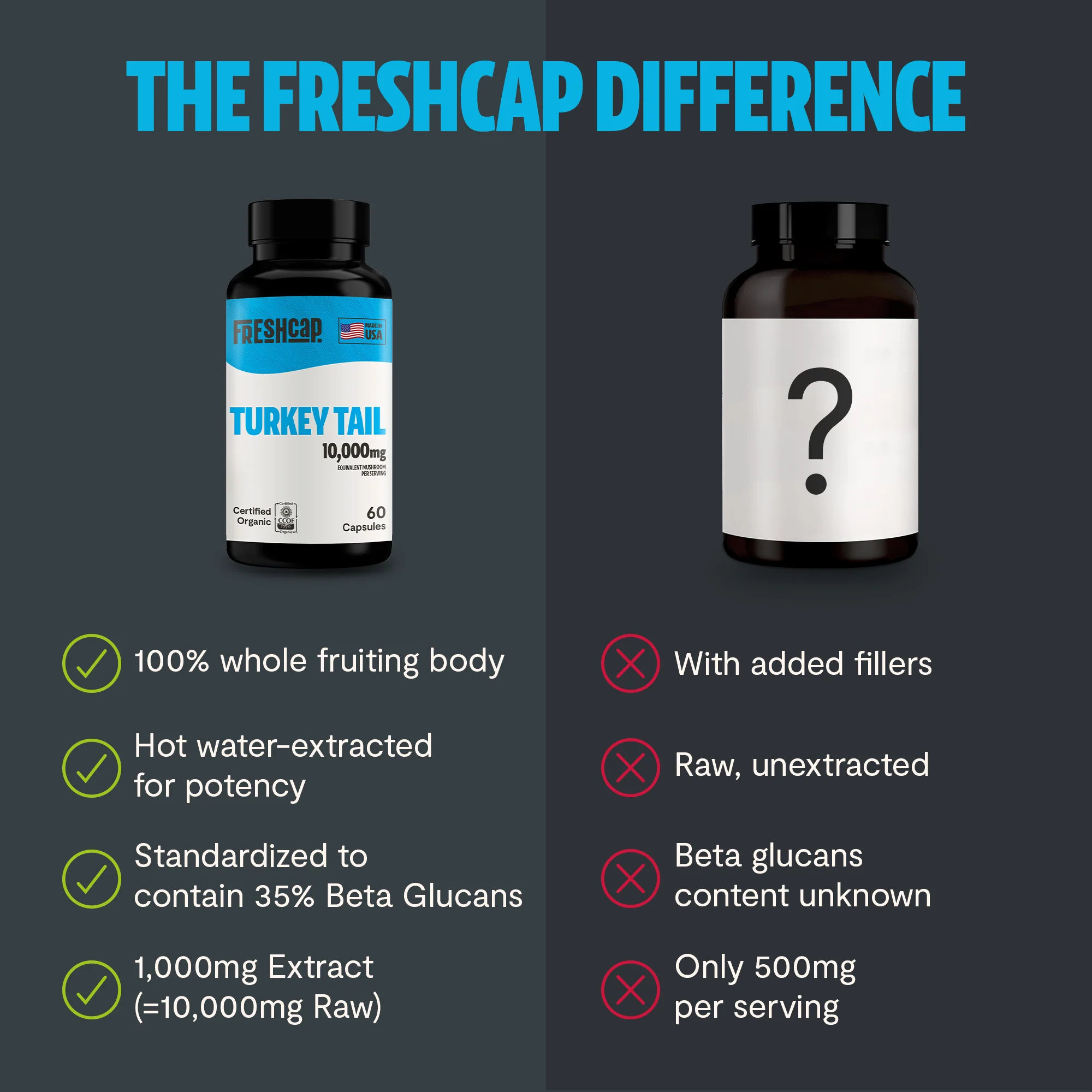 Turkey Tail Mushroom Extract Capsules - Image 14