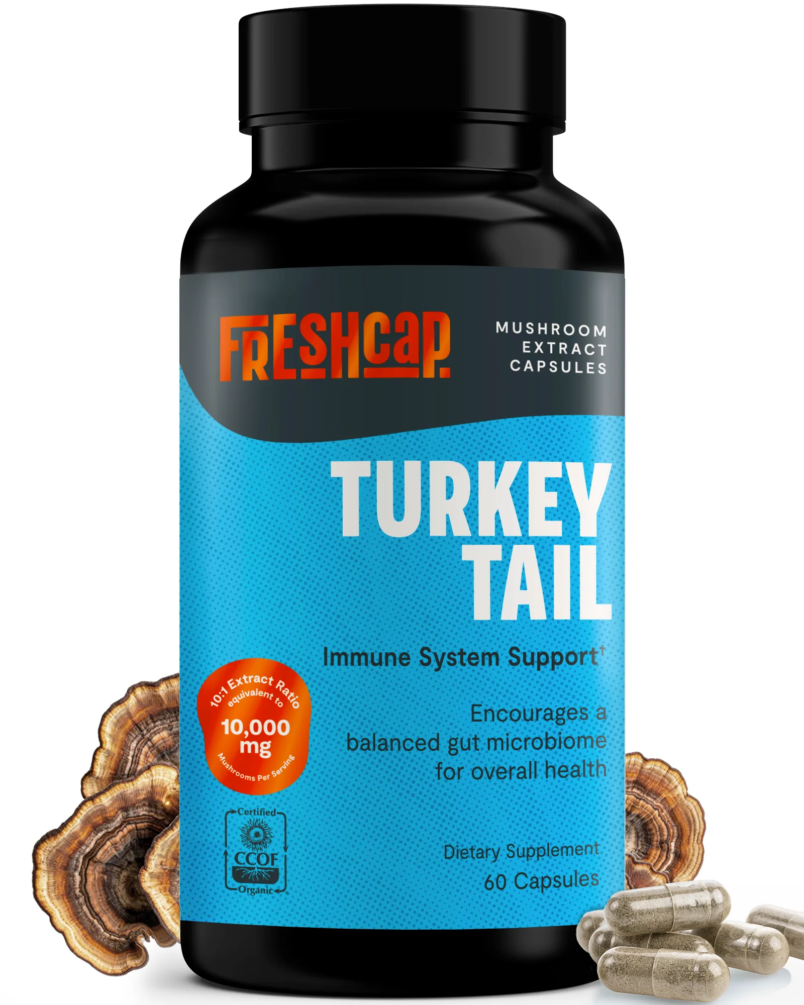 Turkey Tail Mushroom Extract Capsules - Image 18