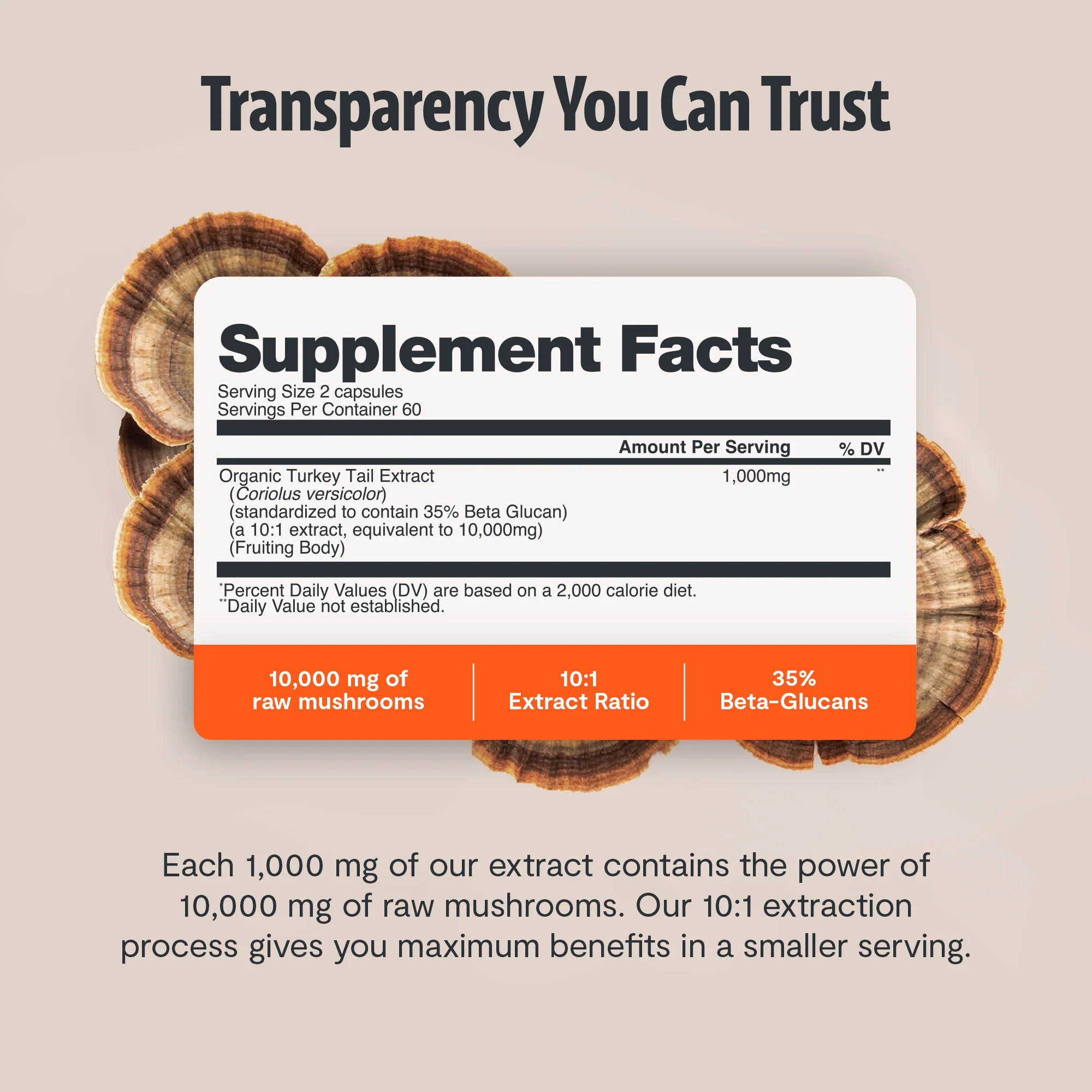 Turkey Tail Mushroom Extract Capsules - Image 19