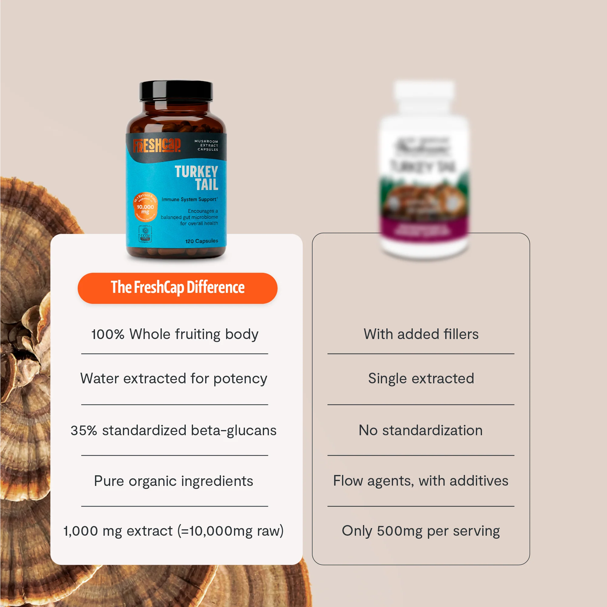 Turkey Tail Mushroom Extract Capsules - Image 20