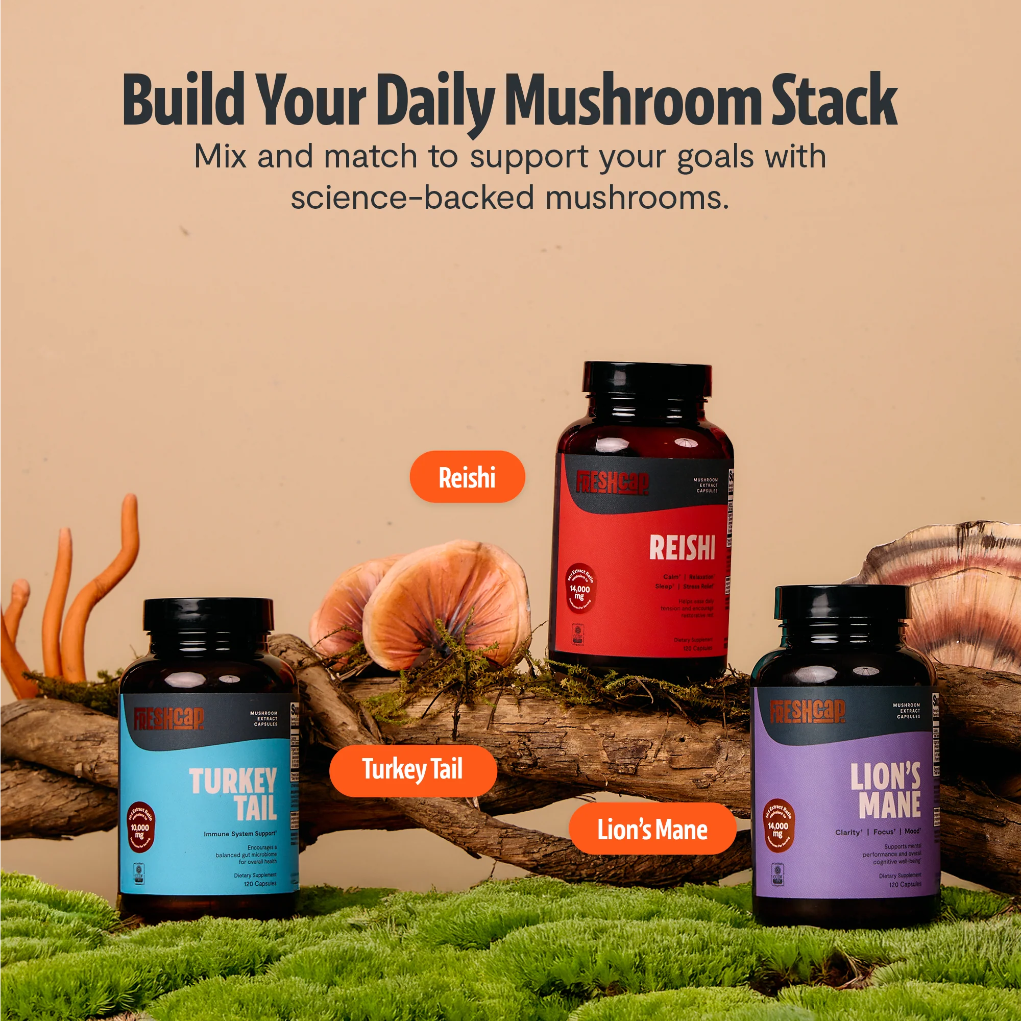 Turkey Tail Mushroom Extract Capsules - Image 23