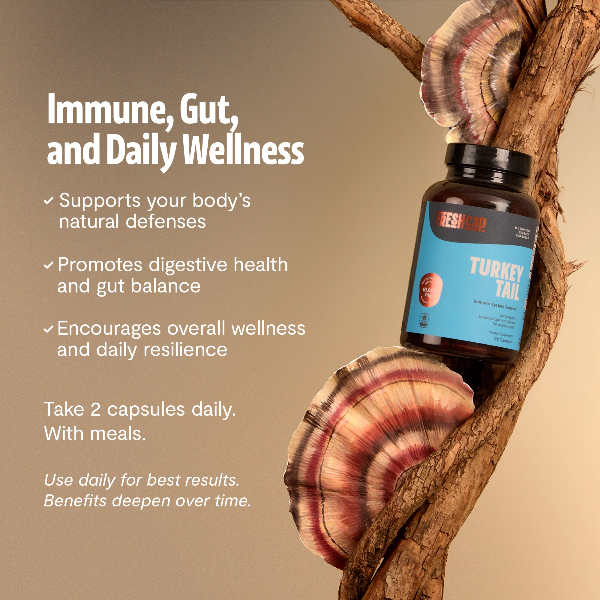 Turkey Tail Mushroom Extract Capsules - Image 26