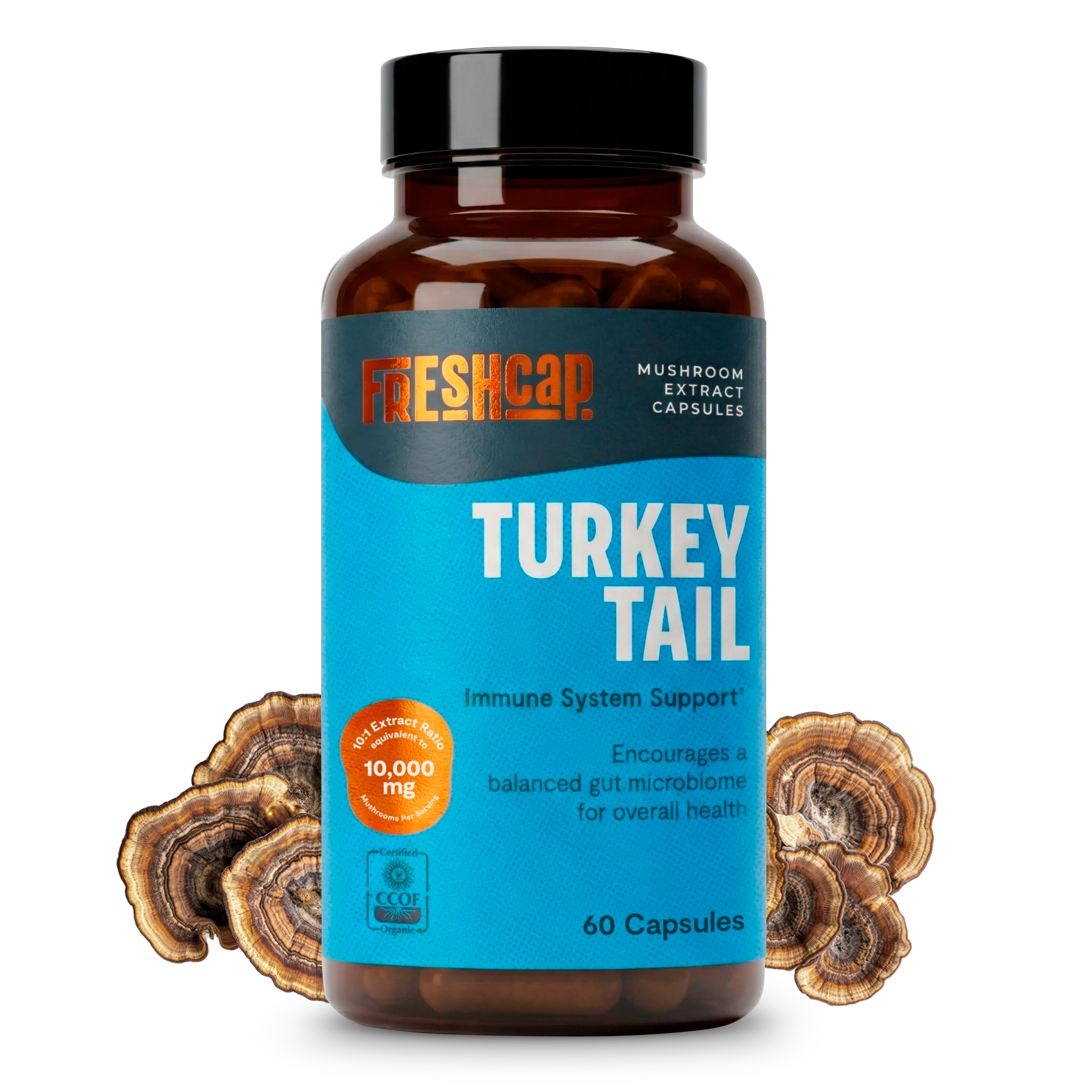 Turkey Tail Mushroom Extract Capsules - Image 27