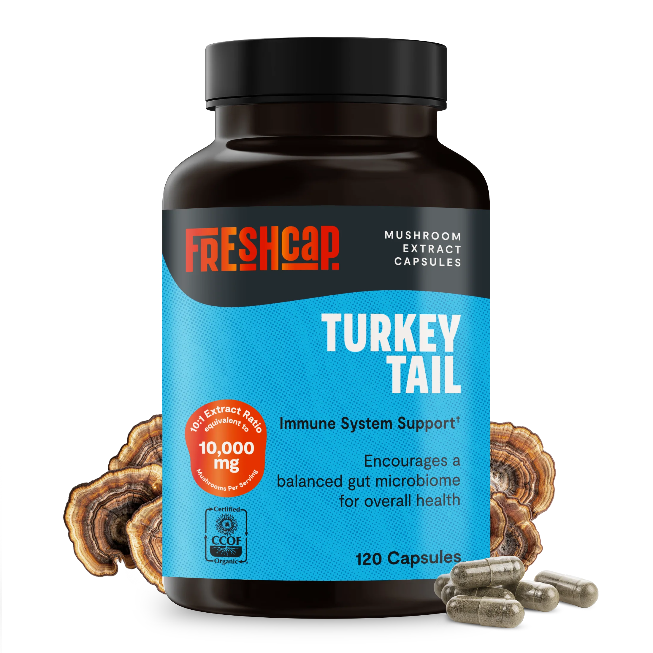 Turkey Tail Mushroom Extract Capsules - Image 28