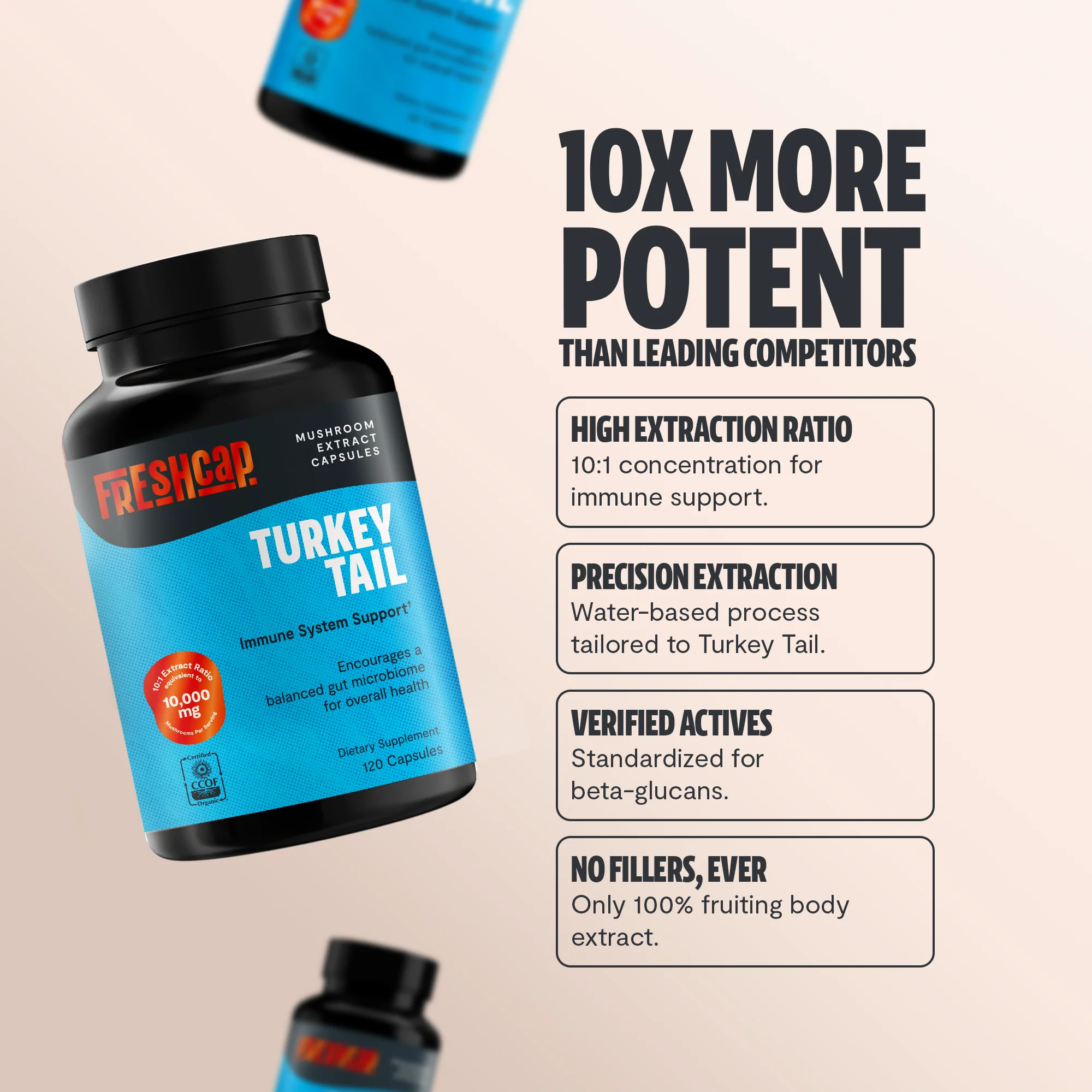 Turkey Tail Mushroom Extract Capsules - Image 3