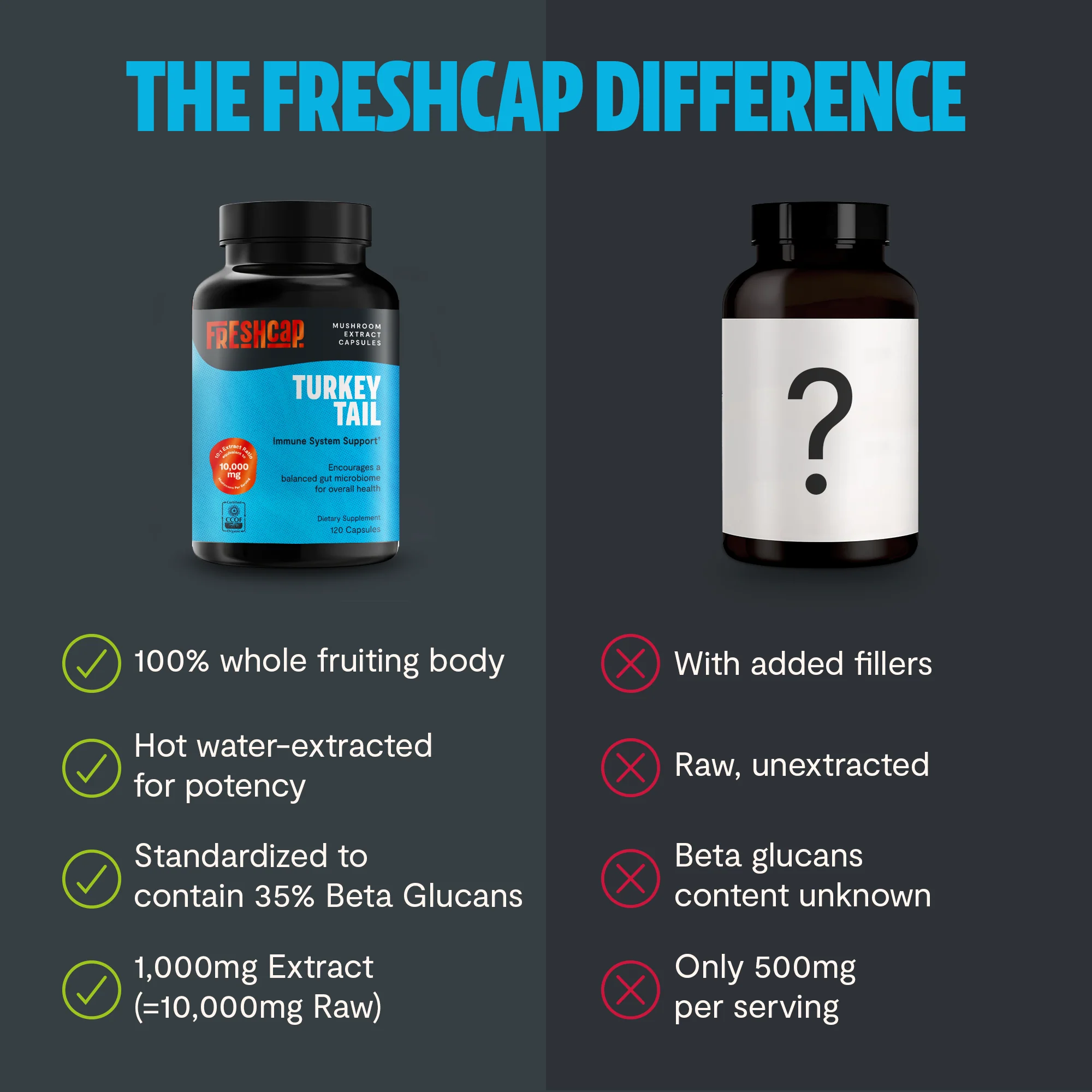 Turkey Tail Mushroom Extract Capsules - Image 8