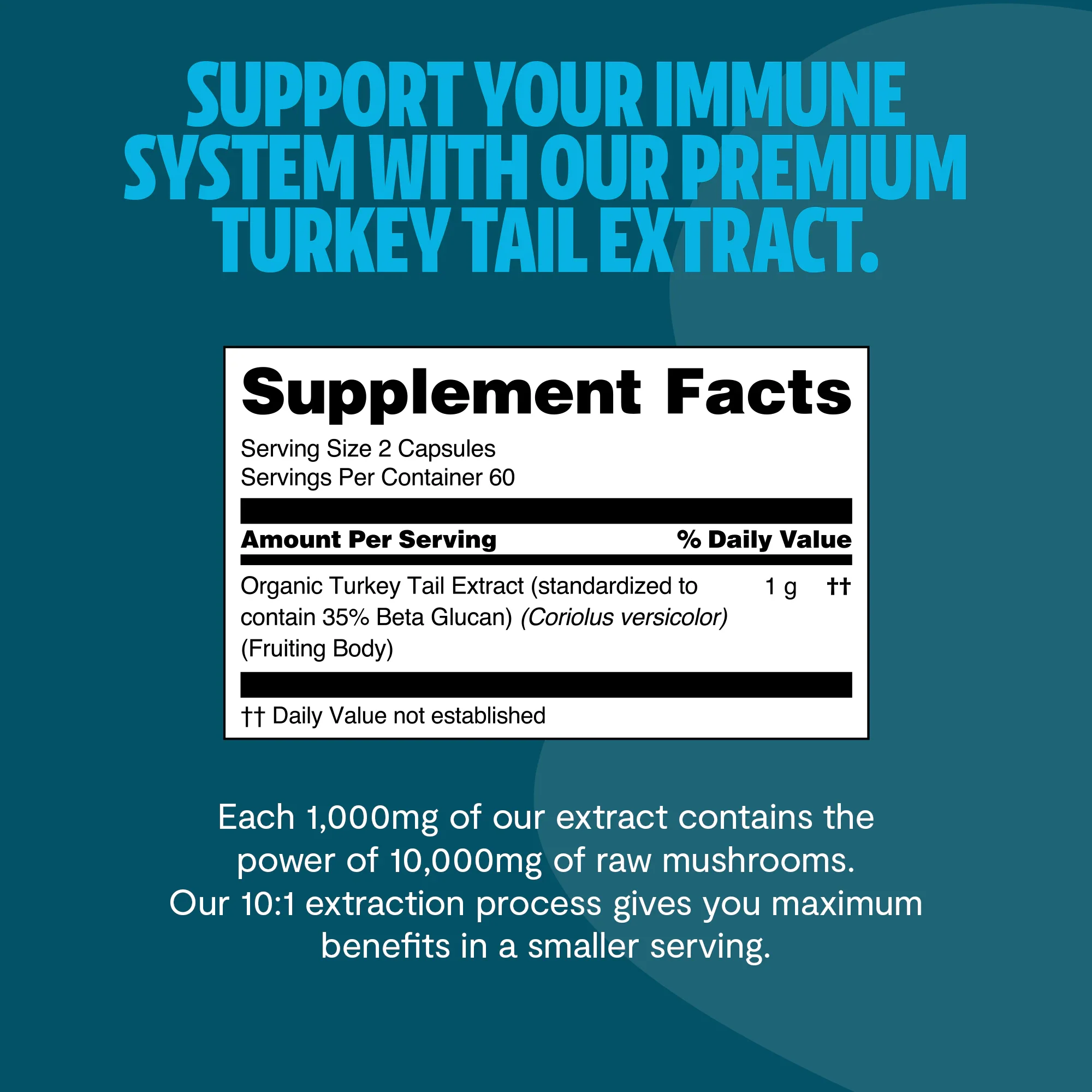 Turkey Tail Mushroom Extract Capsules - Image 9