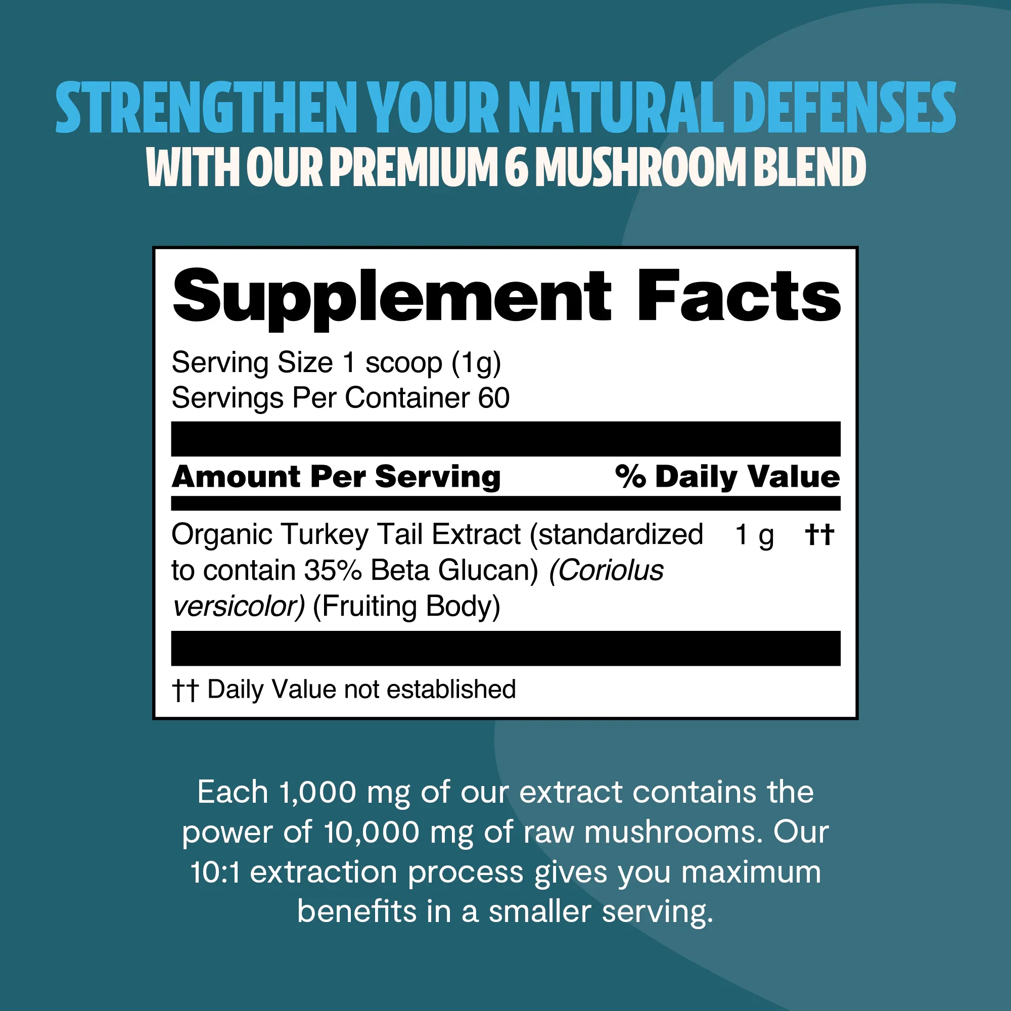 Turkey Tail Mushroom Extract Powder - Image 11