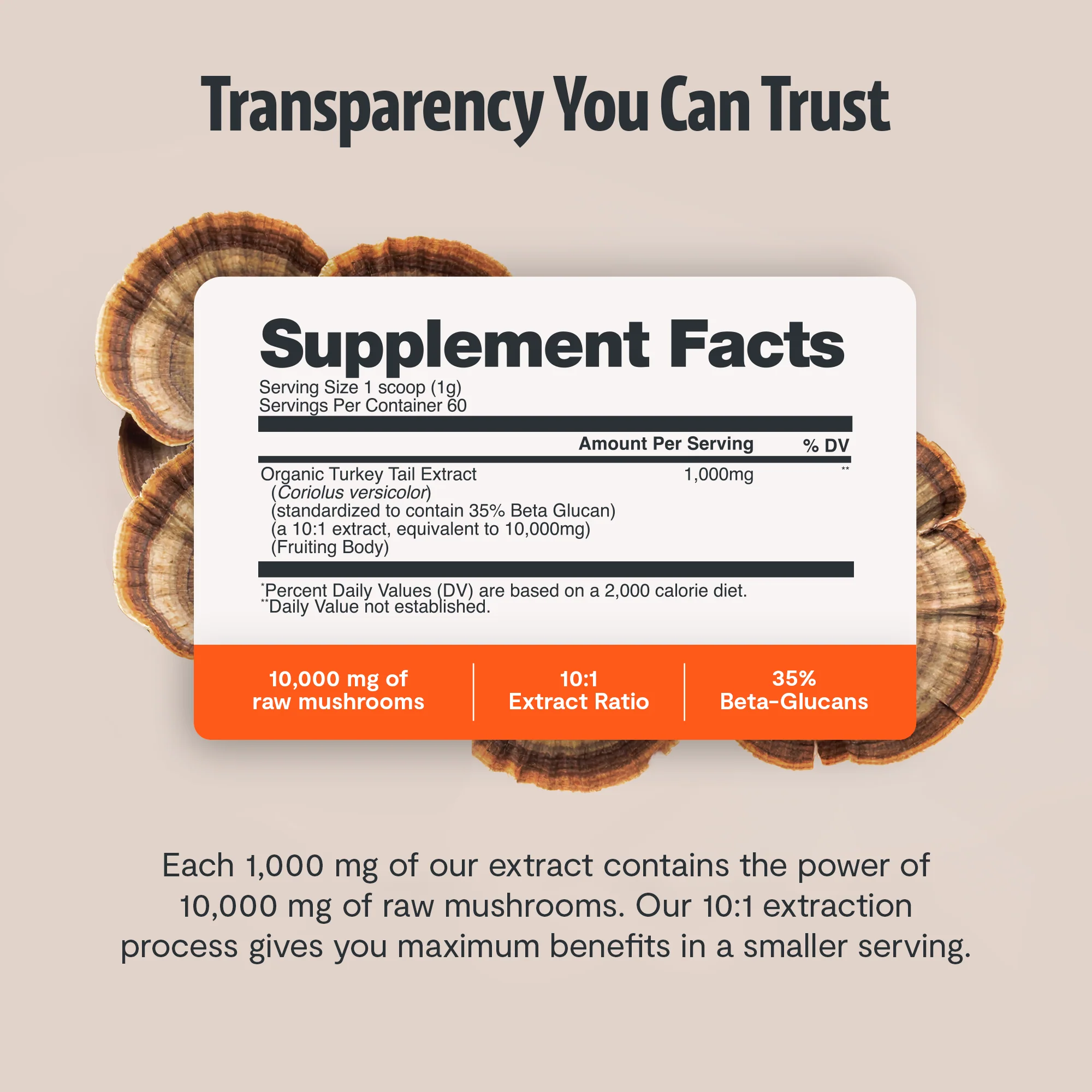 Turkey Tail Mushroom Extract Powder - Image 14