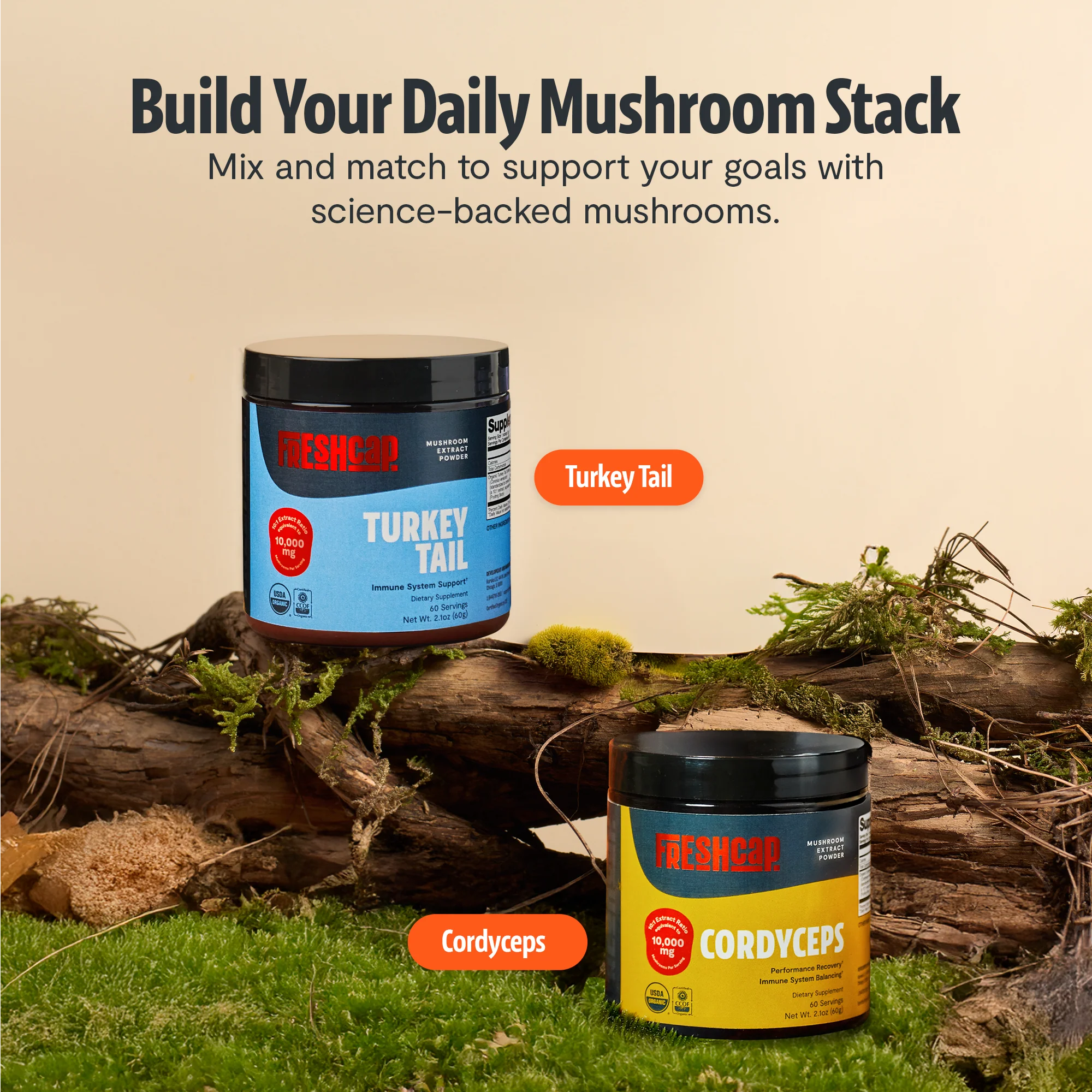 Turkey Tail Mushroom Extract Powder - Image 19