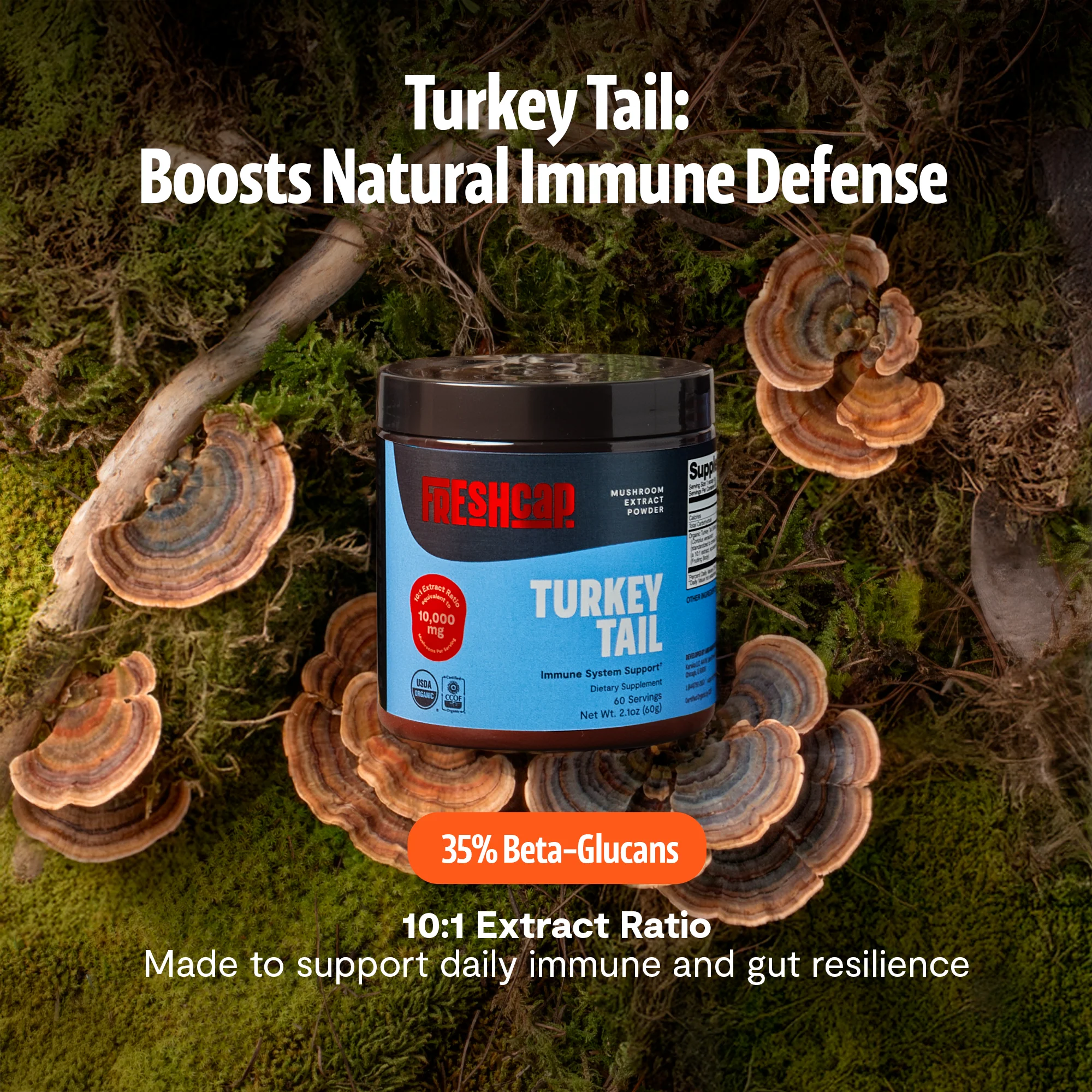 Turkey Tail Mushroom Extract Powder - Image 20