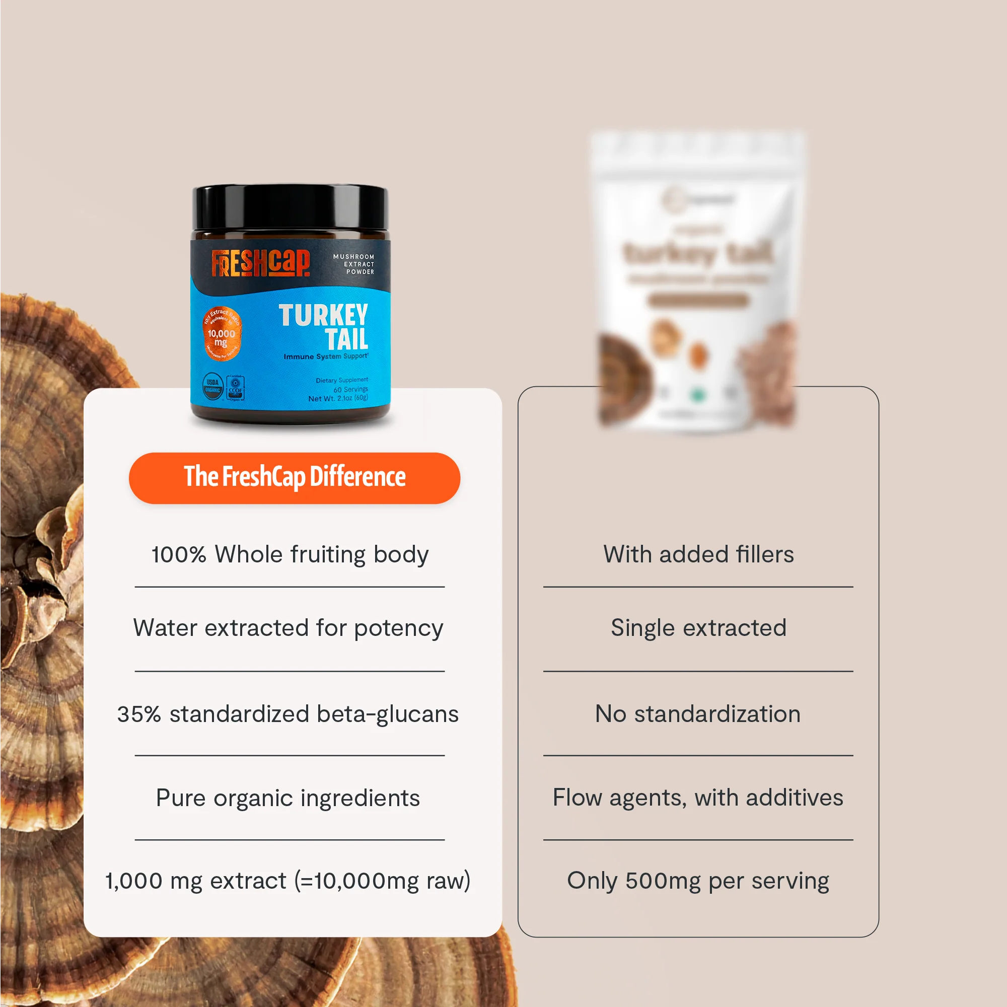 Turkey Tail Mushroom Extract Powder - Image 23