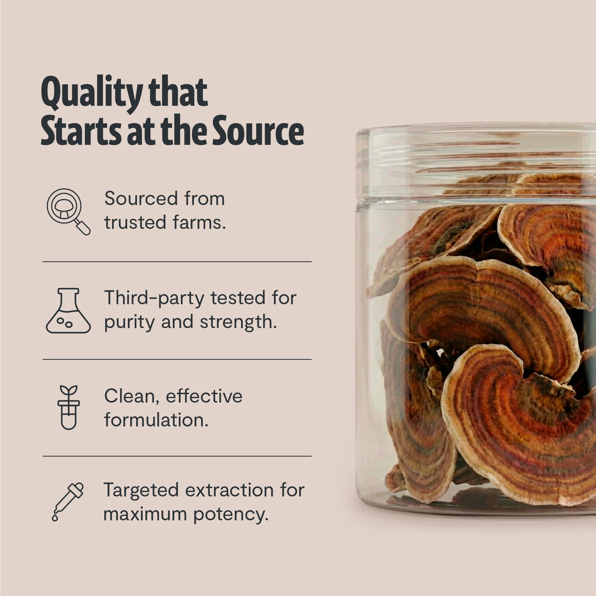 Turkey Tail Mushroom Extract Powder - Image 24