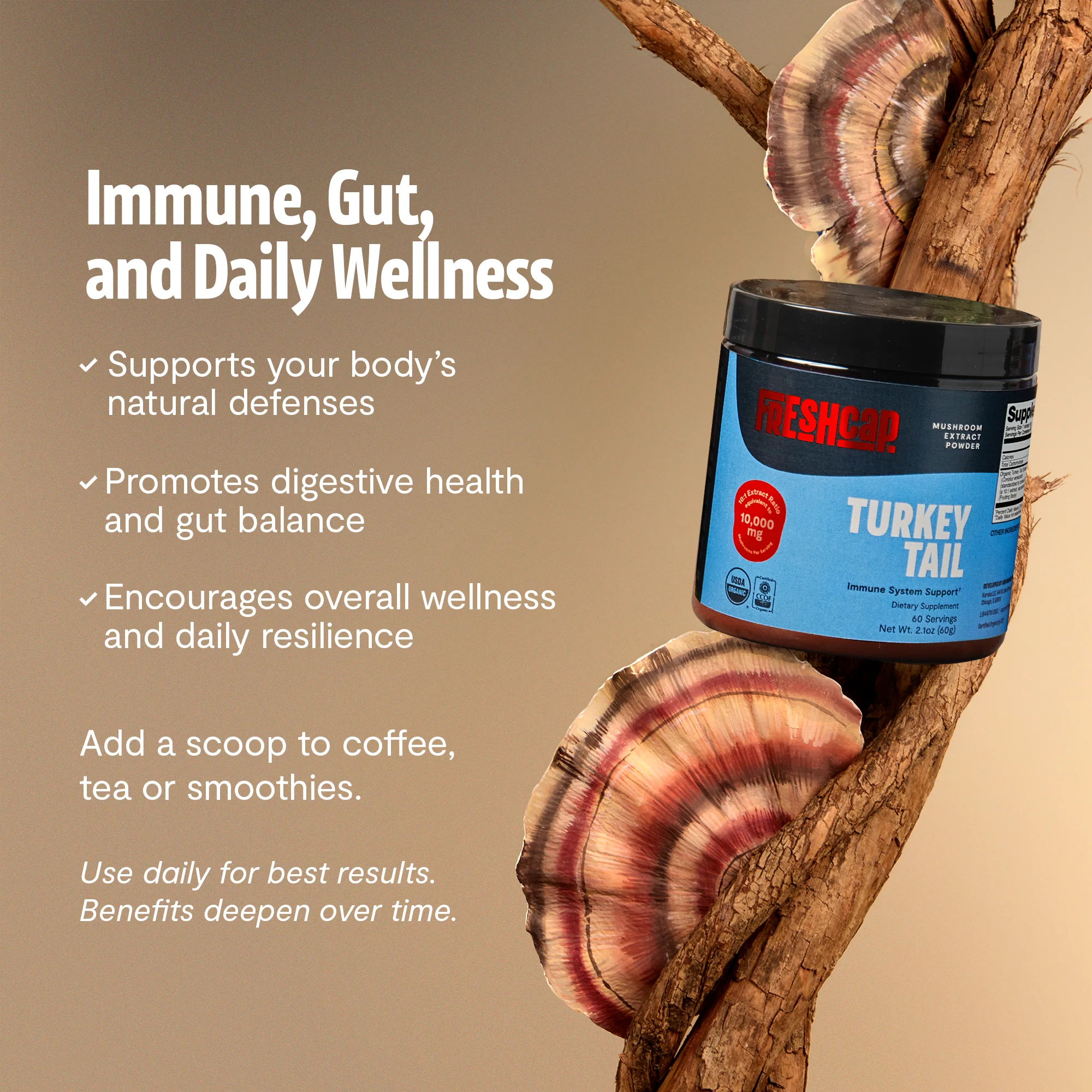 Turkey Tail Mushroom Extract Powder - Image 28