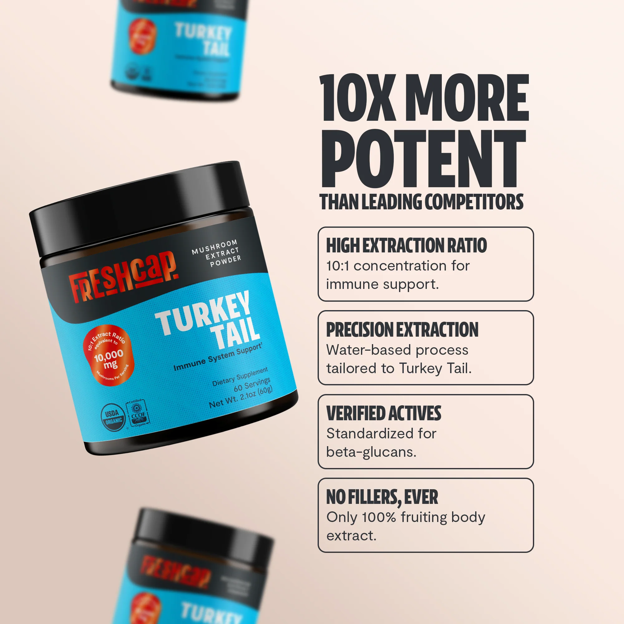 Turkey Tail Mushroom Extract Powder - Image 4