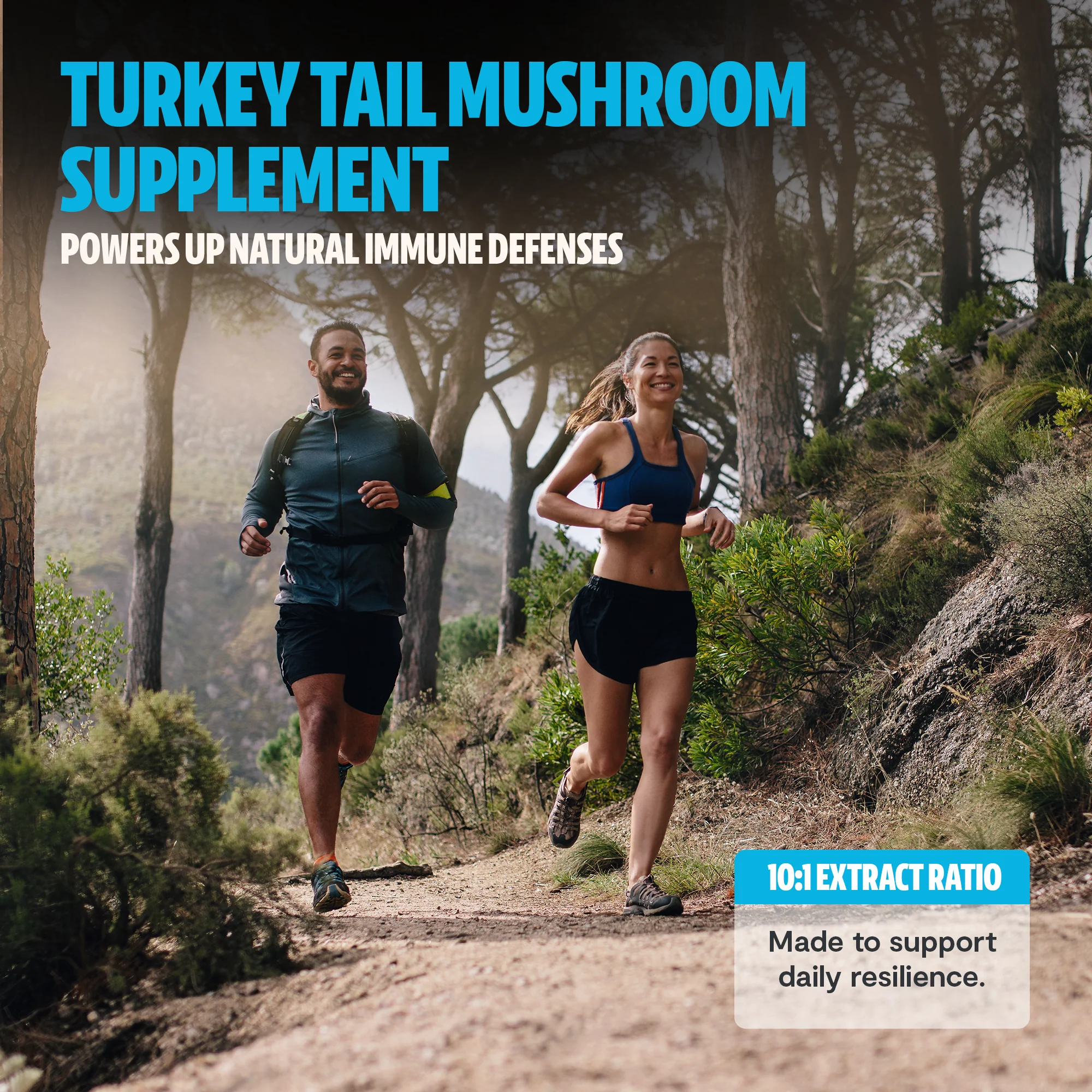 Turkey Tail Mushroom Extract Powder - Image 8