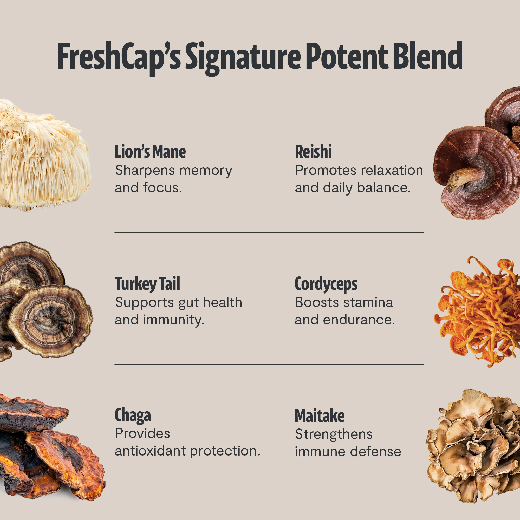 Ultimate Mushroom Coffee - Image 5