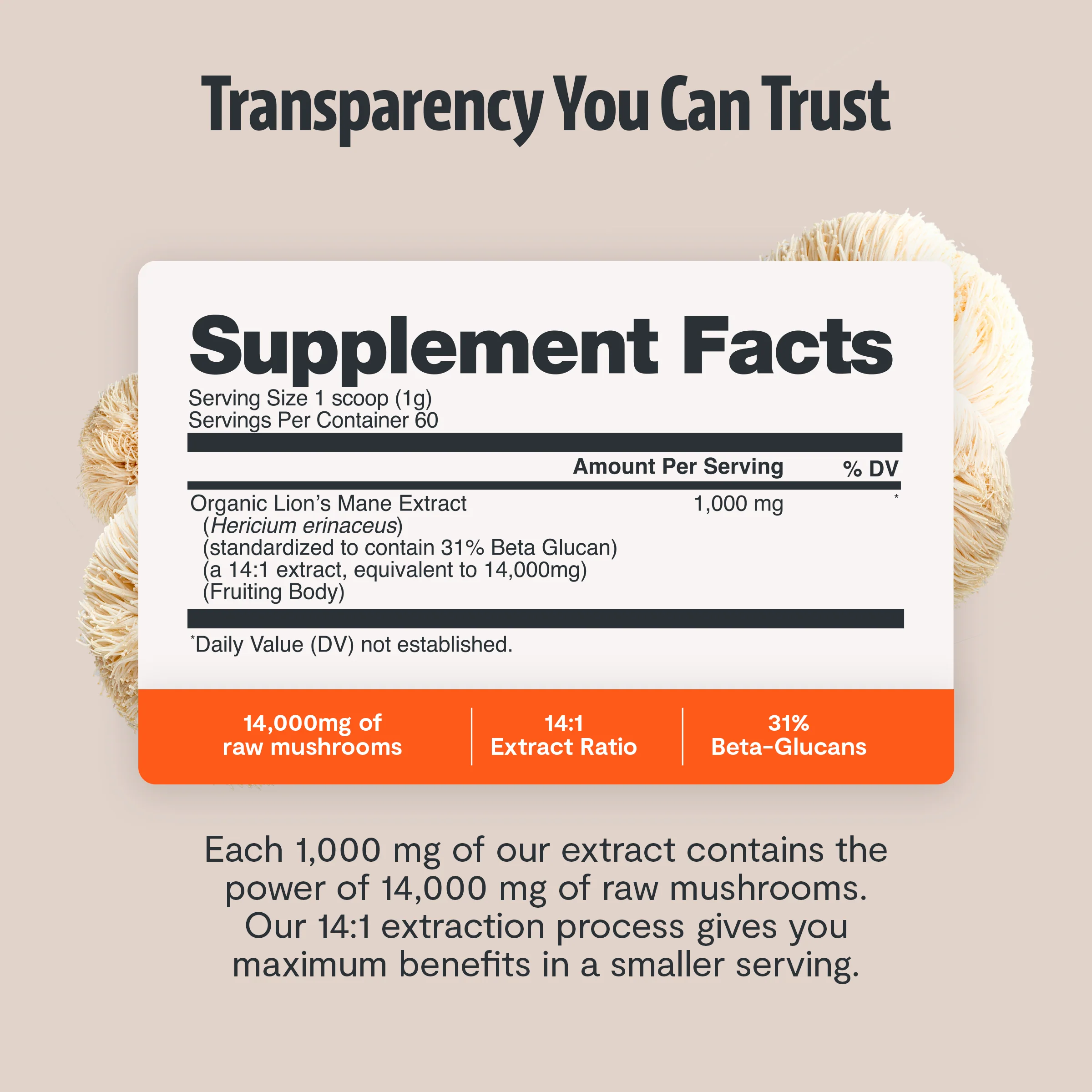 Ultimate Mushroom Complex Capsules - Image 36