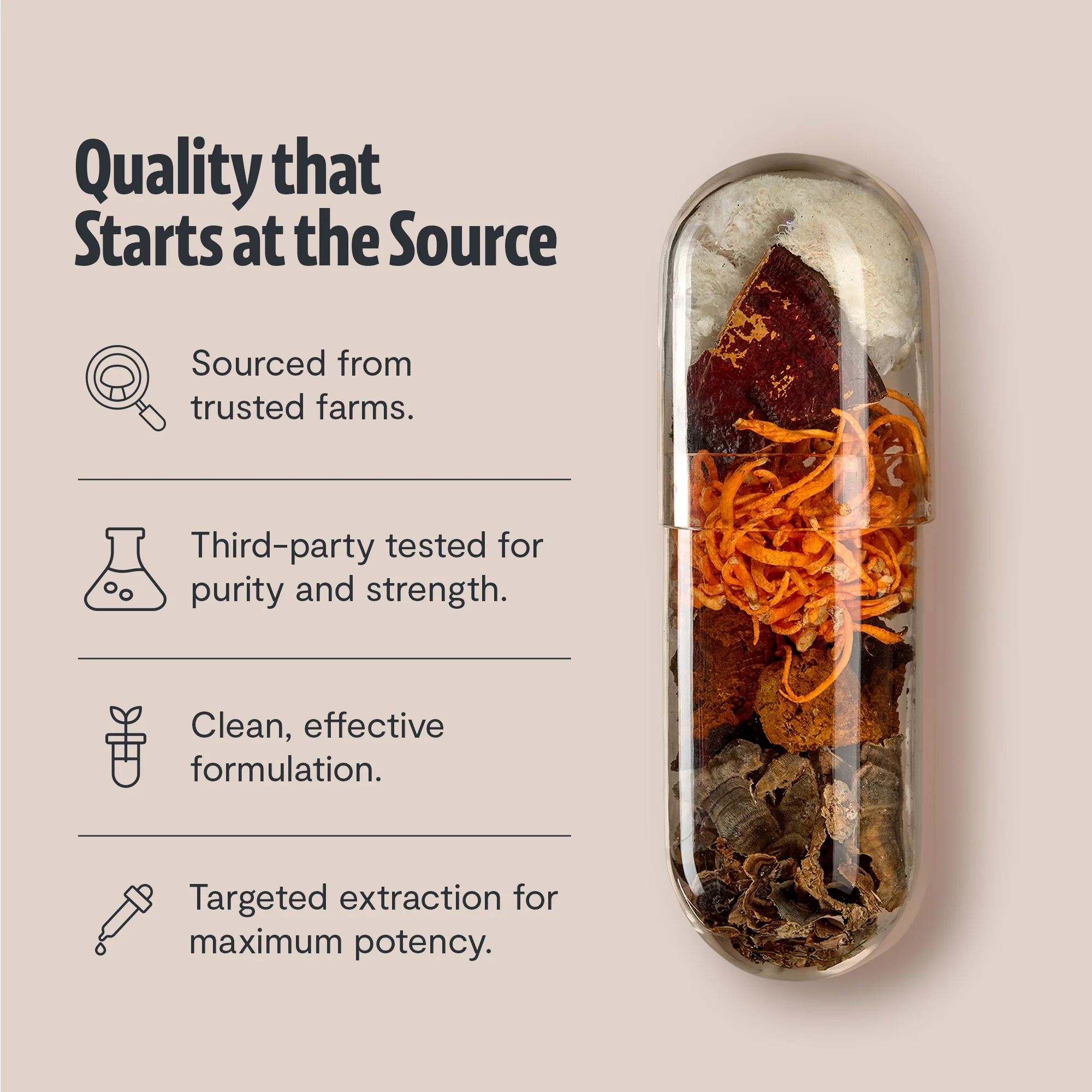 Ultimate Mushroom Complex Capsules - Image 46