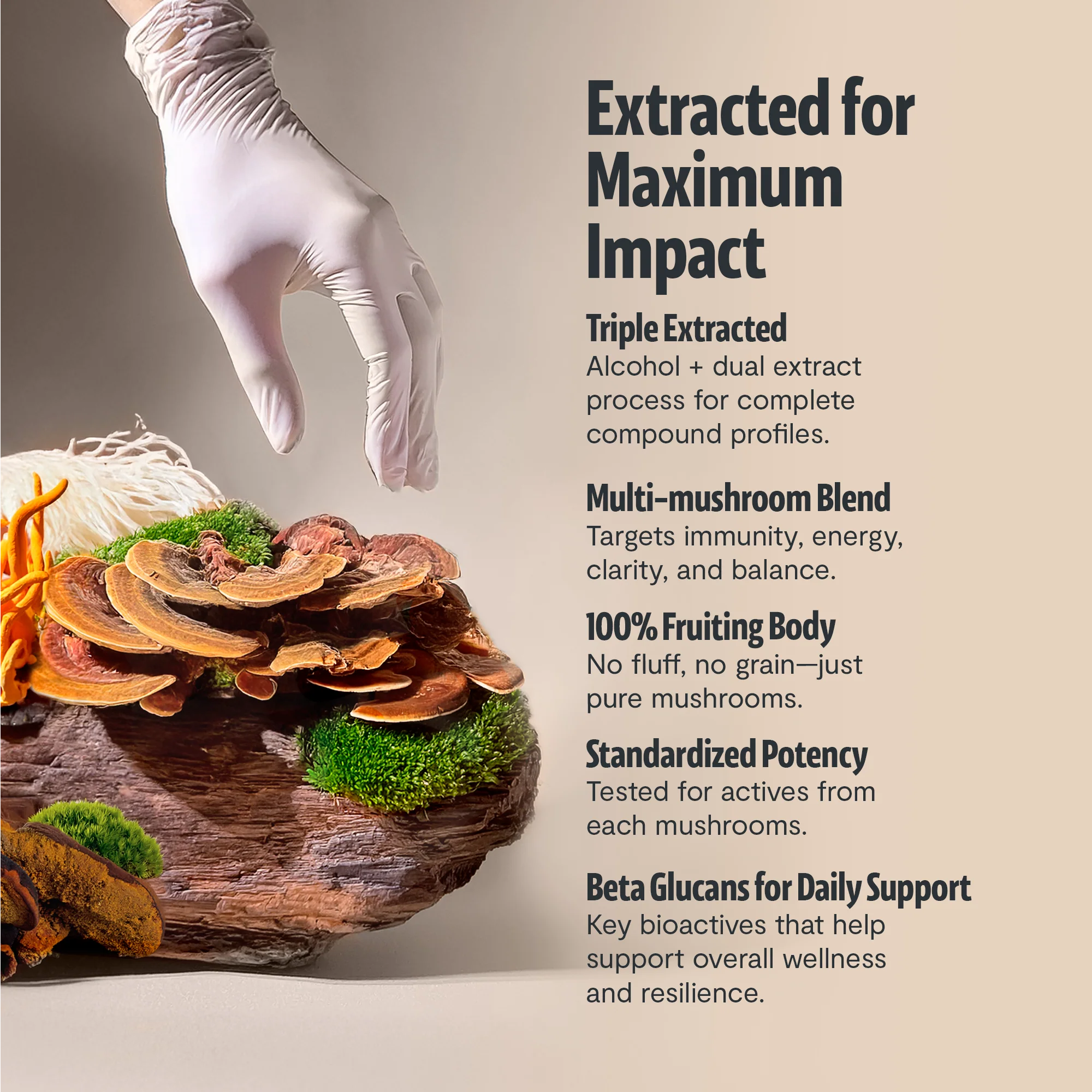 Ultimate Mushroom Complex Capsules - Image 47