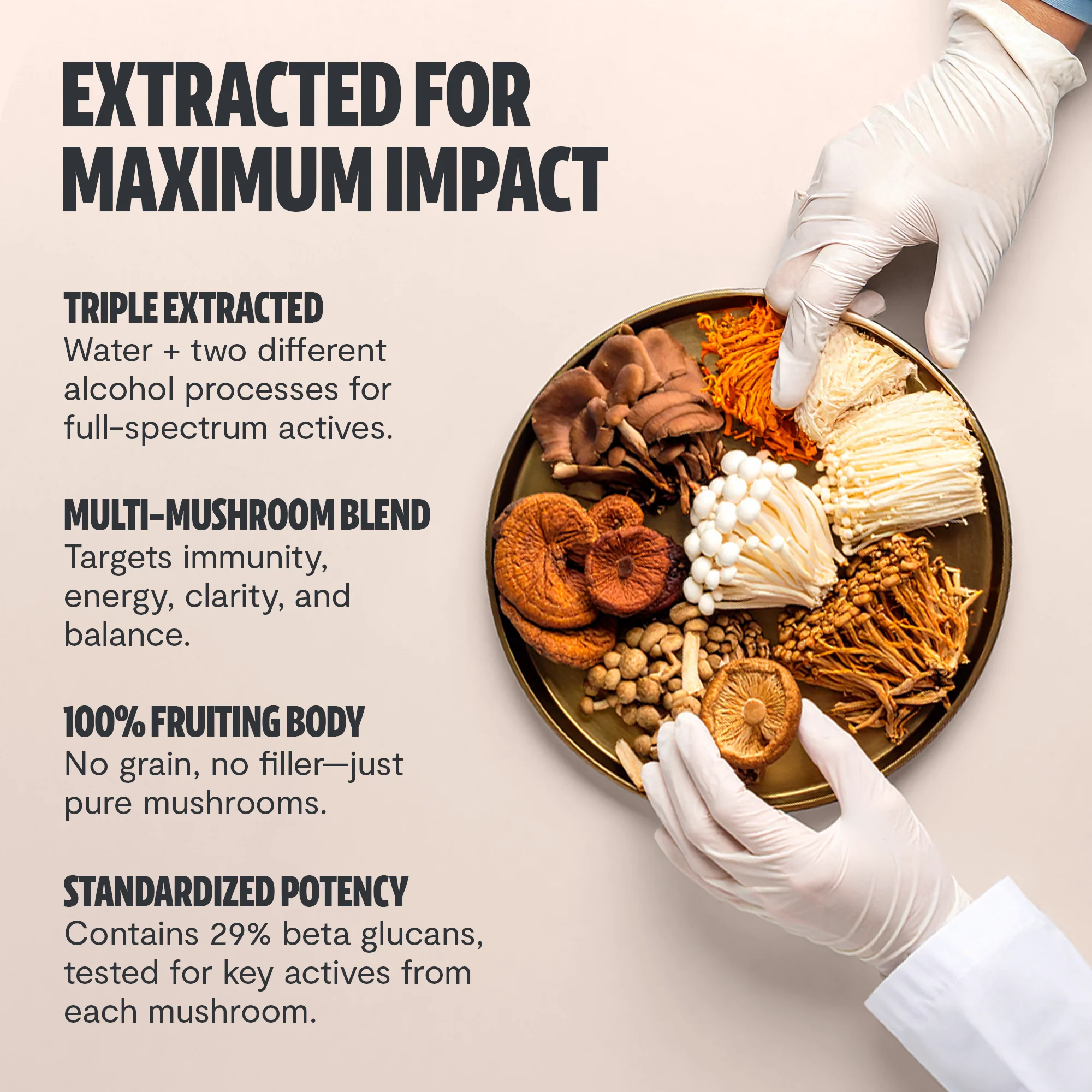 Ultimate Mushroom Complex Capsules - Image 5