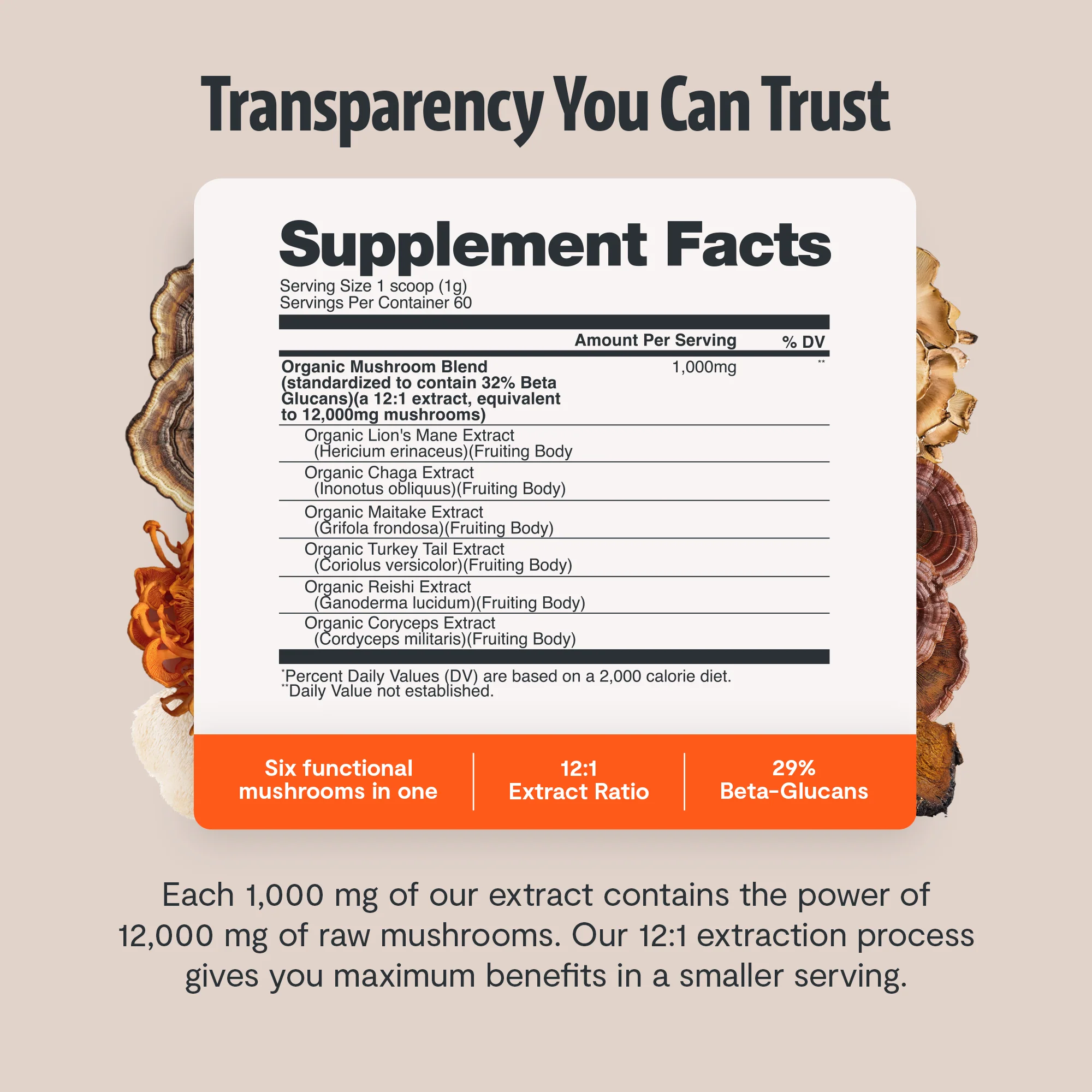 Ultimate Mushroom Complex Powder - Image 15