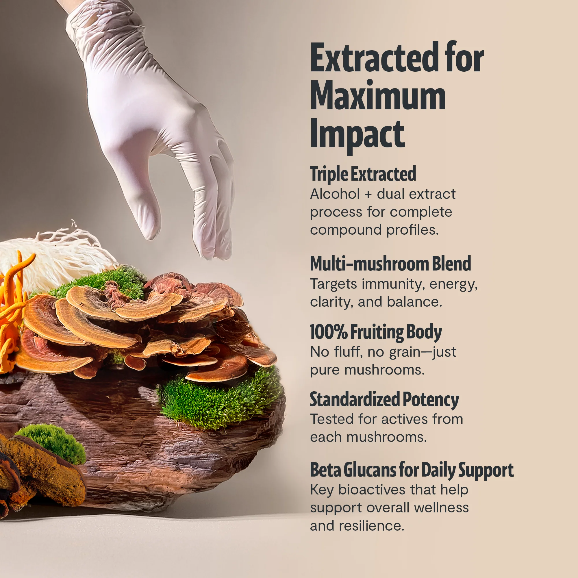 Ultimate Mushroom Complex Powder - Image 18